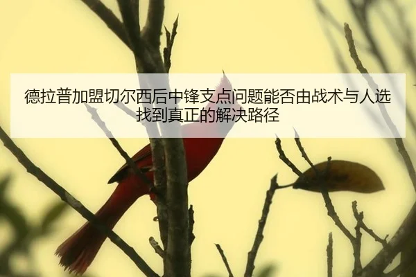 de-la-pu-jia-meng-qie-er-xi-hou-zhong-feng-zhi-dian-wen-ti-neng-fou-you-zhan-shu-yu-ren-xuan-zhao-dao-zhen-zheng-de-jie-2-271.jpg